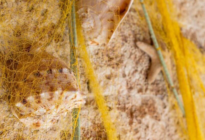 Ilios Beach Hotel Apartments Adults Only