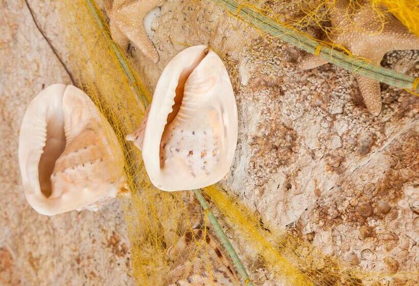 Ilios Beach Hotel Apartments Adults Only