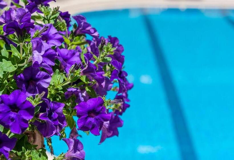 Ilios Beach Hotel Apartments Adults Only