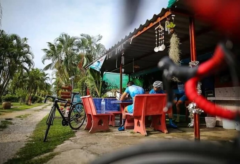 בית מלון כפרי Nason Resort