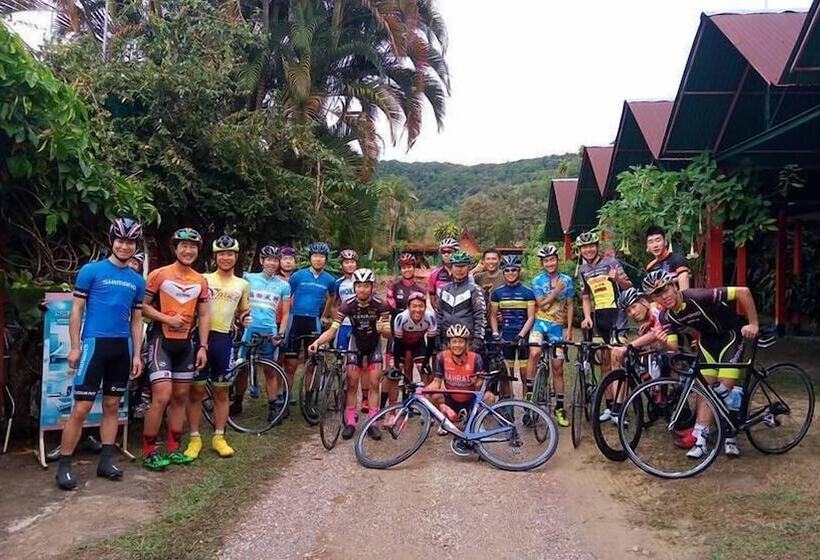 בית מלון כפרי Nason Resort