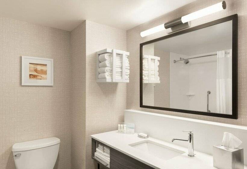 هتل Hampton Inn & Suites St. Charles Old Town Area