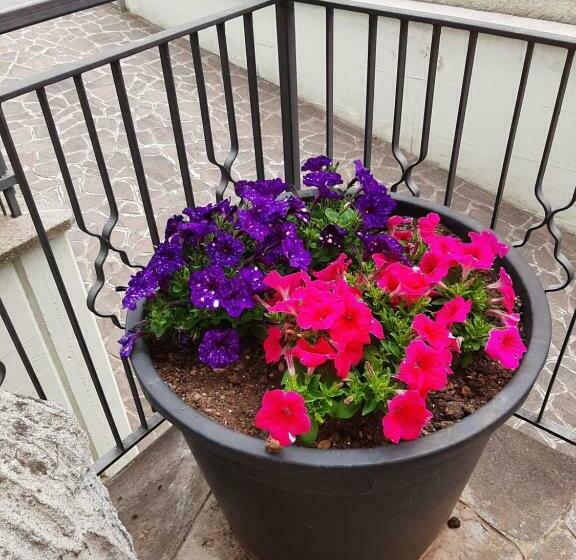 펜션 Casa Vacanze Da Cinzia