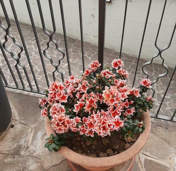 펜션 Casa Vacanze Da Cinzia