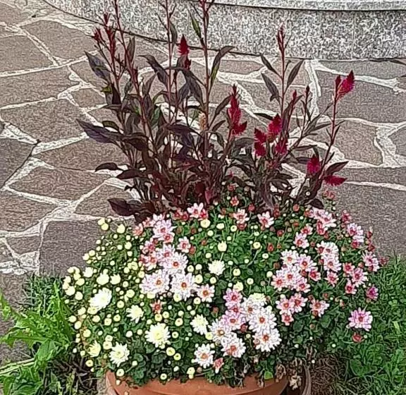 Majatalo Casa Vacanze Da Cinzia