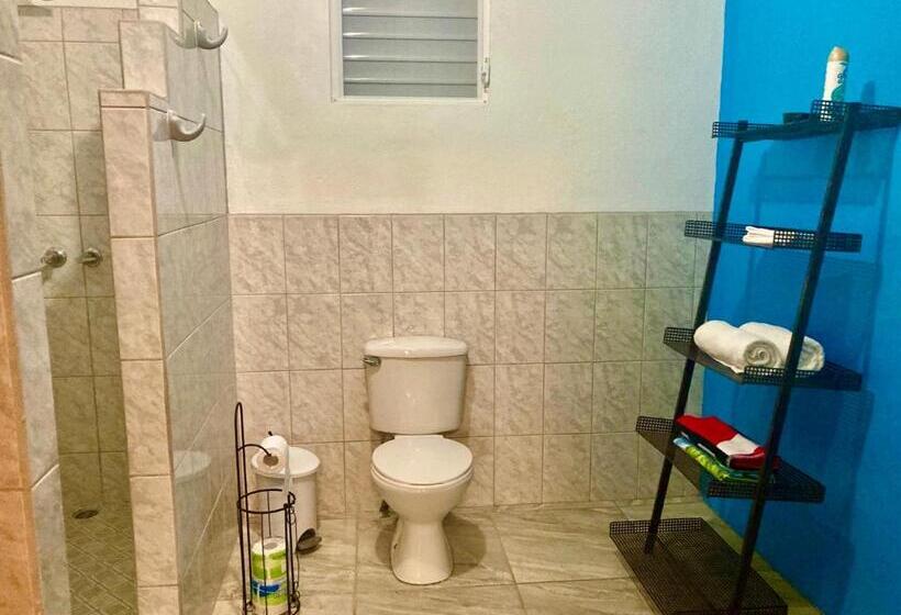 پانسیون Jaguar Morning Star