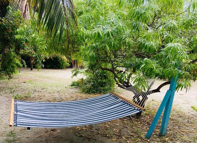 پانسیون Jaguar Morning Star