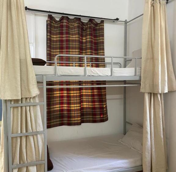 ベッドアンドブレックファースト Piccolo Dreams