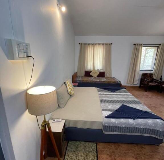 ベッドアンドブレックファースト Piccolo Dreams