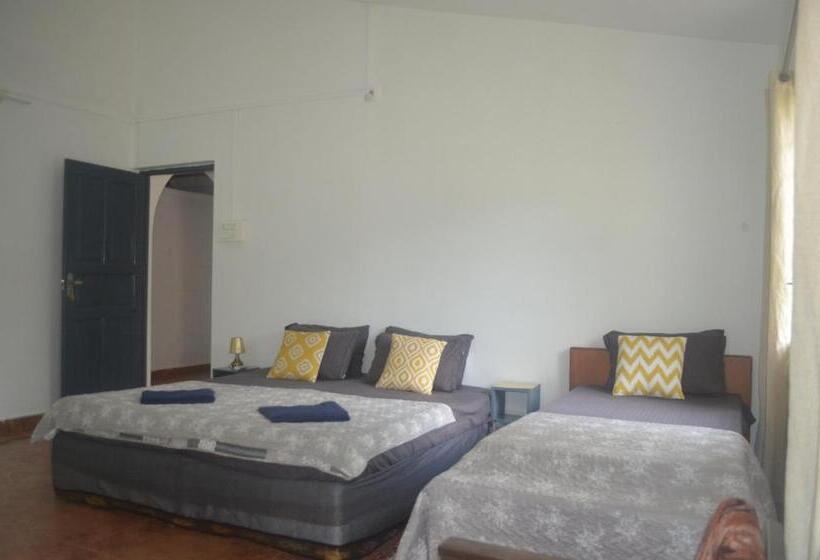 ベッドアンドブレックファースト Piccolo Dreams