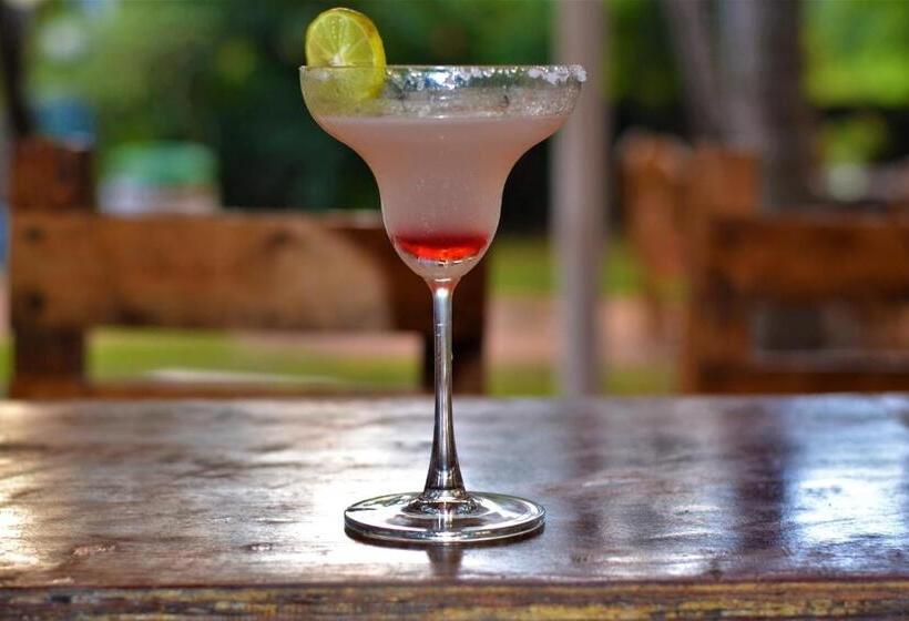 ベッドアンドブレックファースト Piccolo Dreams