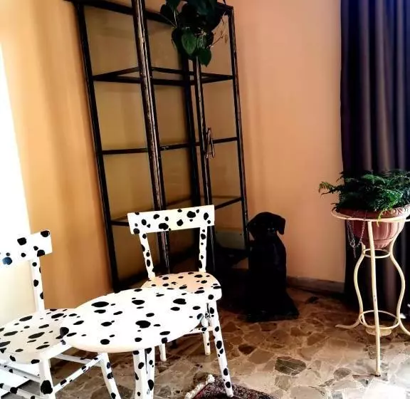 Hotelli Casa Dorita   Free Breakfast Corner 8 12