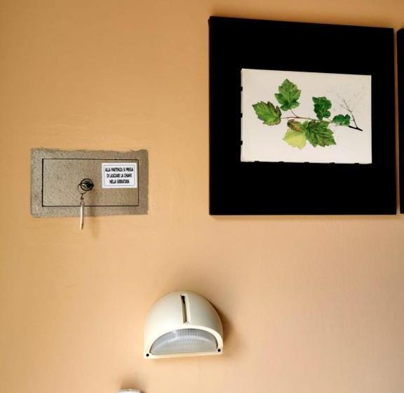 Hotel Casa Dorita   Free Breakfast Corner 8 12