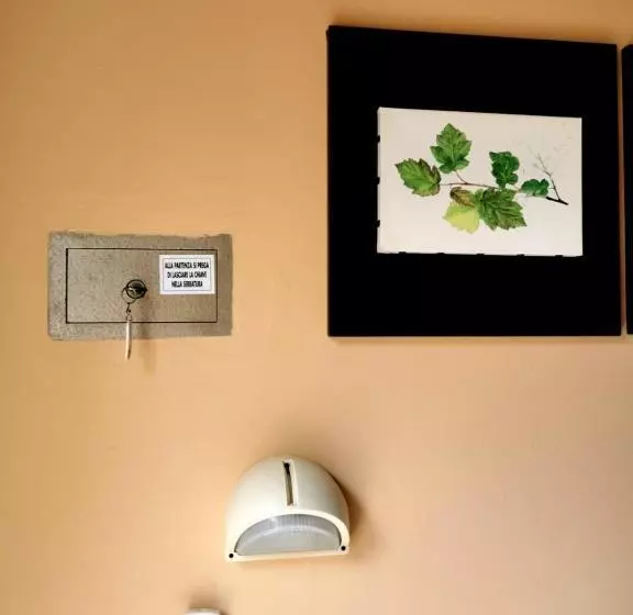 Hotelli Casa Dorita   Free Breakfast Corner 8 12