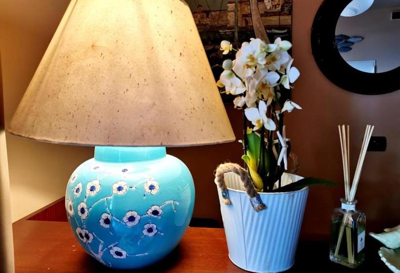 Hotel Casa Dorita   Free Breakfast Corner 8 12