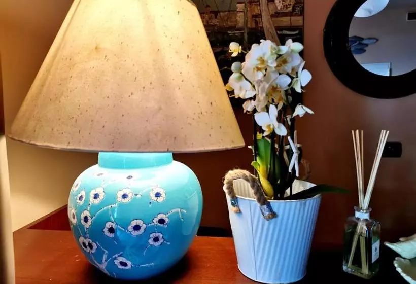 Hotelli Casa Dorita   Free Breakfast Corner 8 12