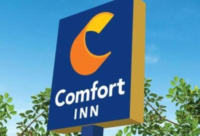 호텔 Comfort Inn Miramar Beachdestin