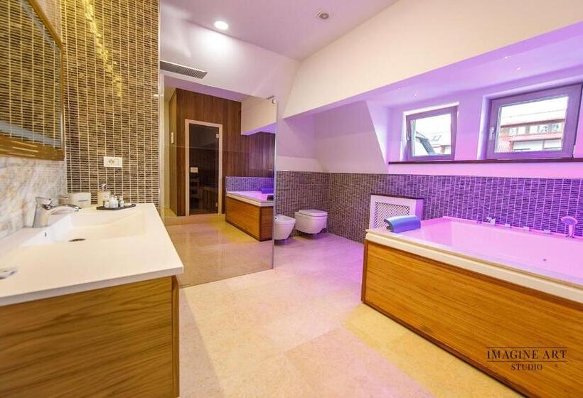 בית מלון כפרי Moviliţa Residence