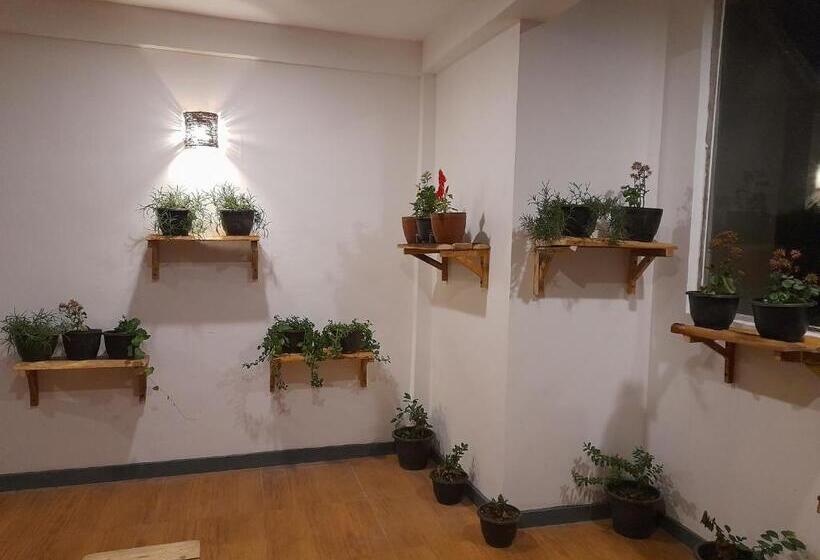 Hotel Tea Mount Forest