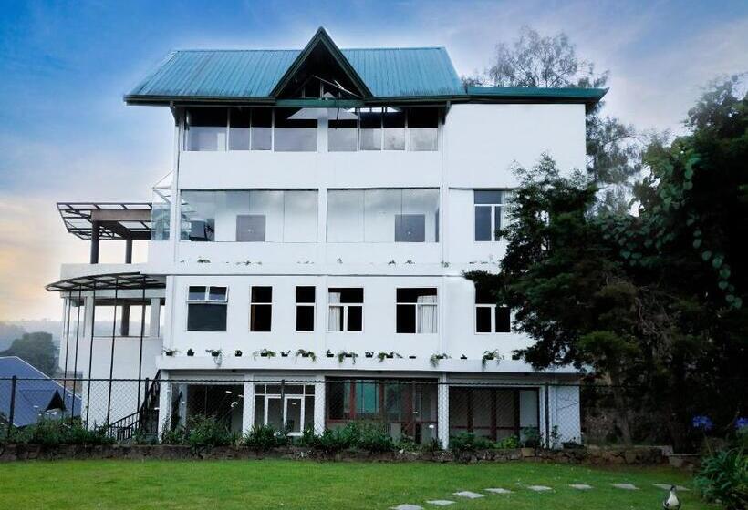 Hotel Tea Mount Forest