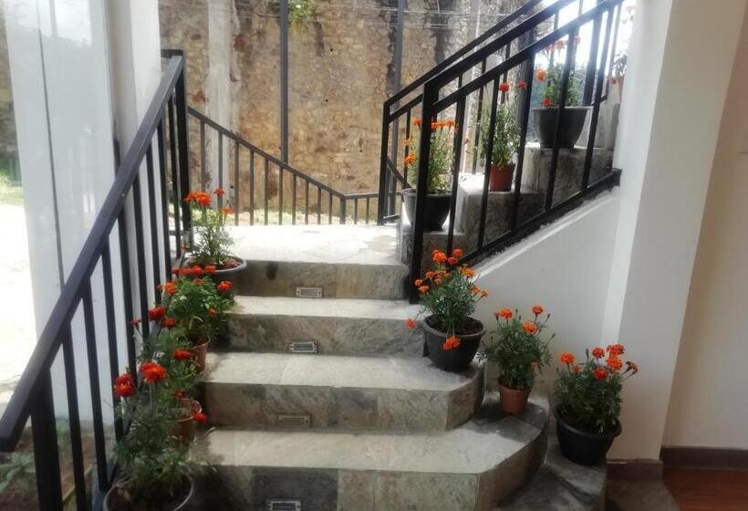 Hotel Tea Mount Forest