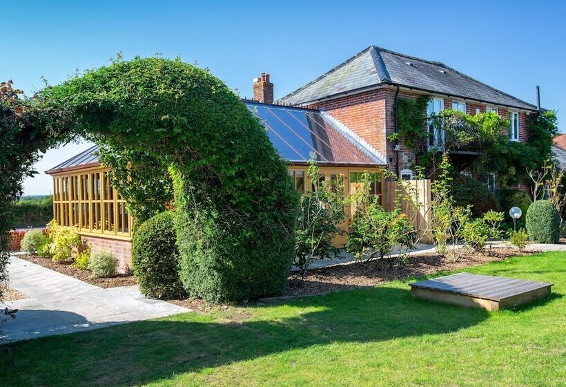 هتل The Three Lions