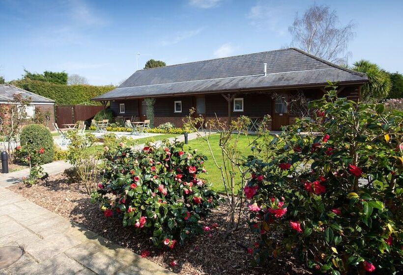 هتل The Three Lions