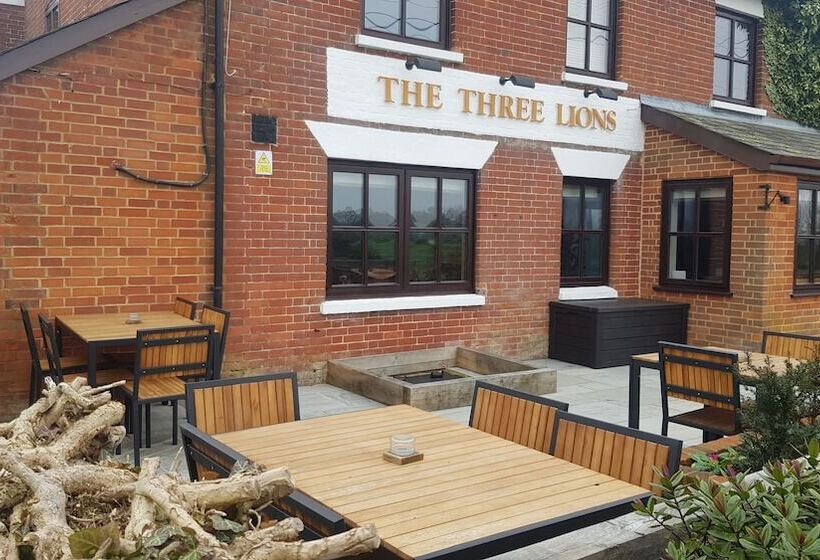 هتل The Three Lions