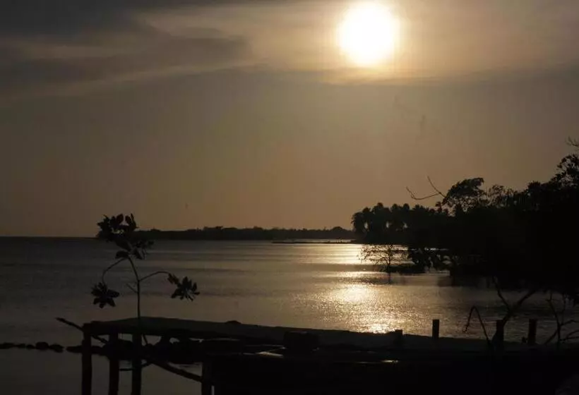 ペンション Hostal Mis Dos ángeles