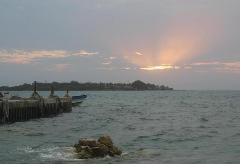 펜션 Hostal Mis Dos ángeles