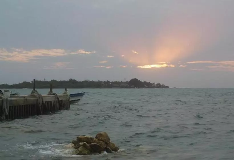 ペンション Hostal Mis Dos ángeles