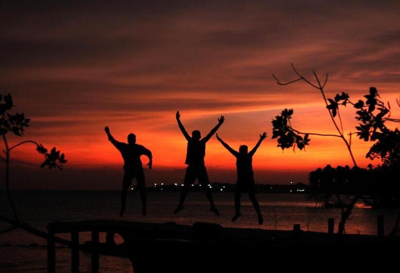 펜션 Hostal Mis Dos ángeles