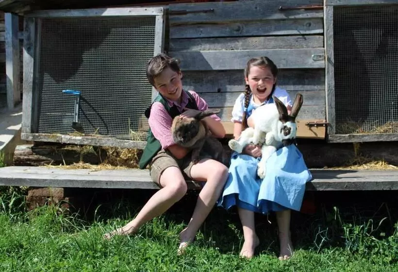 Apartments Schmiedgut