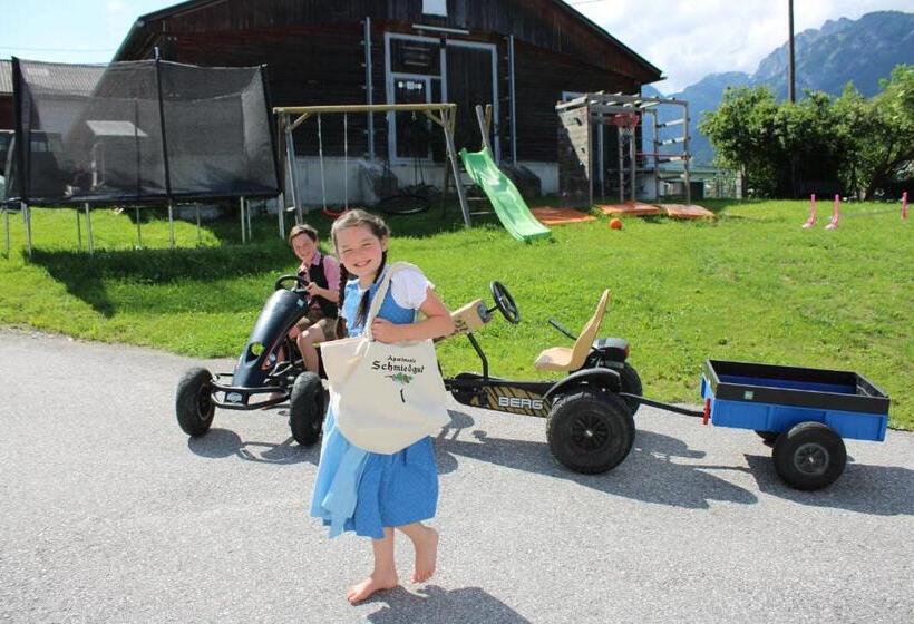 Apartments Schmiedgut