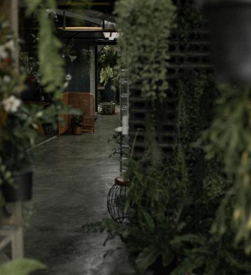 Szálloda Baannokhook Home&cafe