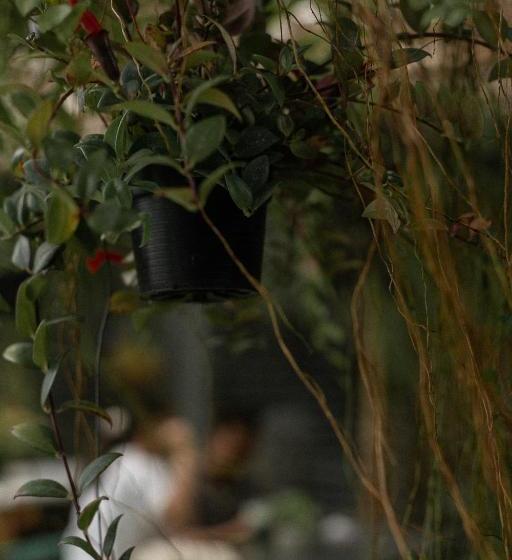 Szálloda Baannokhook Home&cafe