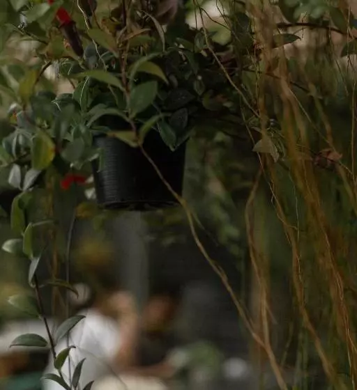 Hotelli Baannokhook Home&cafe