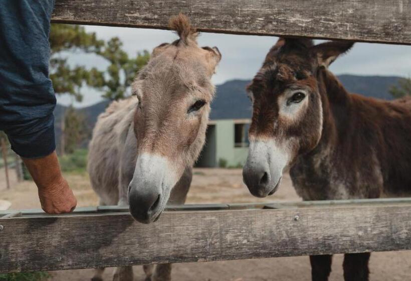 בית מלון כפרי Banksia Park Cottages