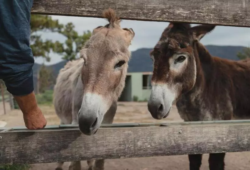ホテル Banksia Park Cottages