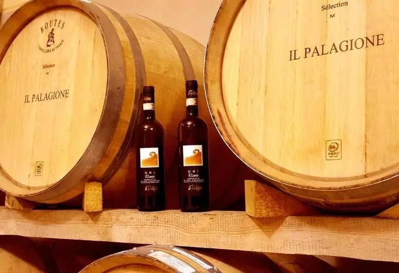 هتل Il Palagione