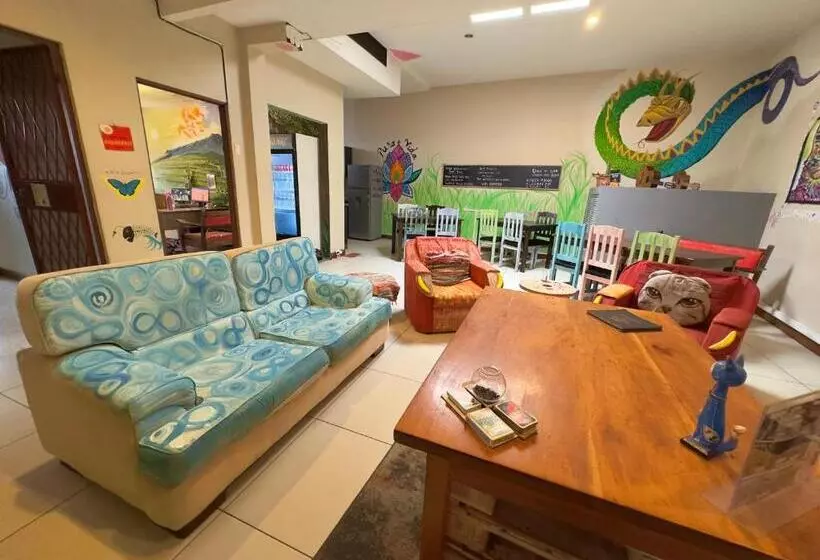 Stray Cat Hostel