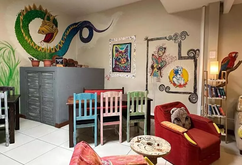 Stray Cat Hostel
