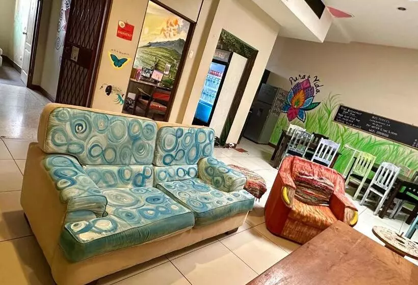Stray Cat Hostel