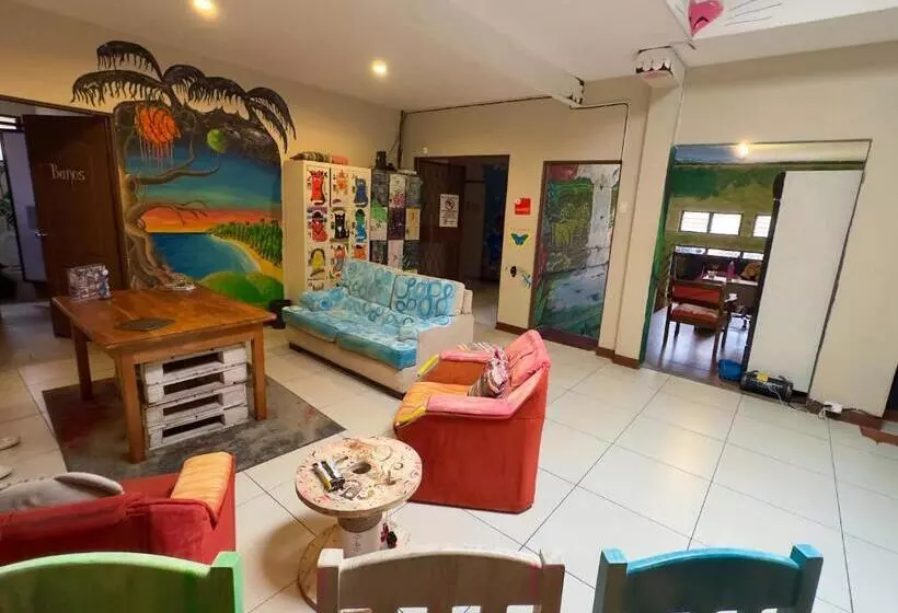 Stray Cat Hostel
