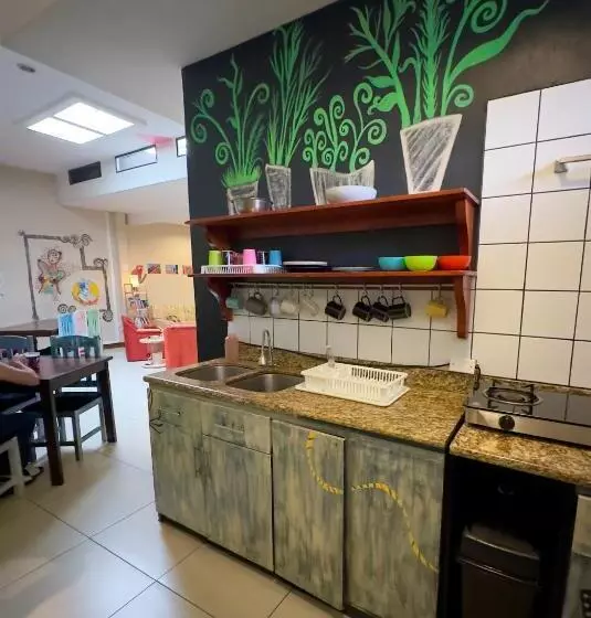 Stray Cat Hostel