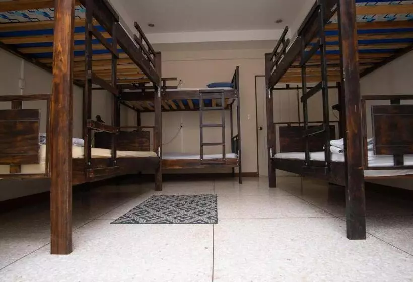 Stray Cat Hostel