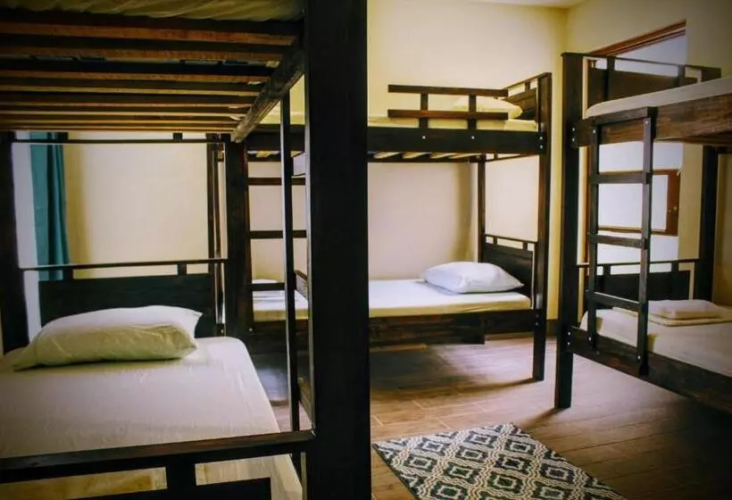 Stray Cat Hostel
