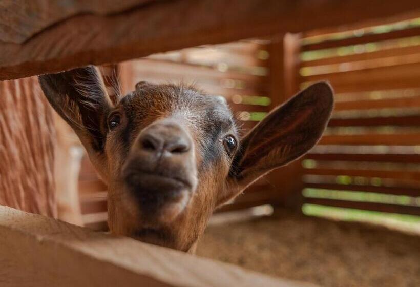Granja Del Cafe Hotel Y Centro De Convenciones
