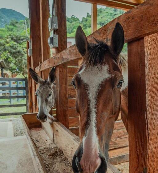Granja Del Cafe Hotel Y Centro De Convenciones
