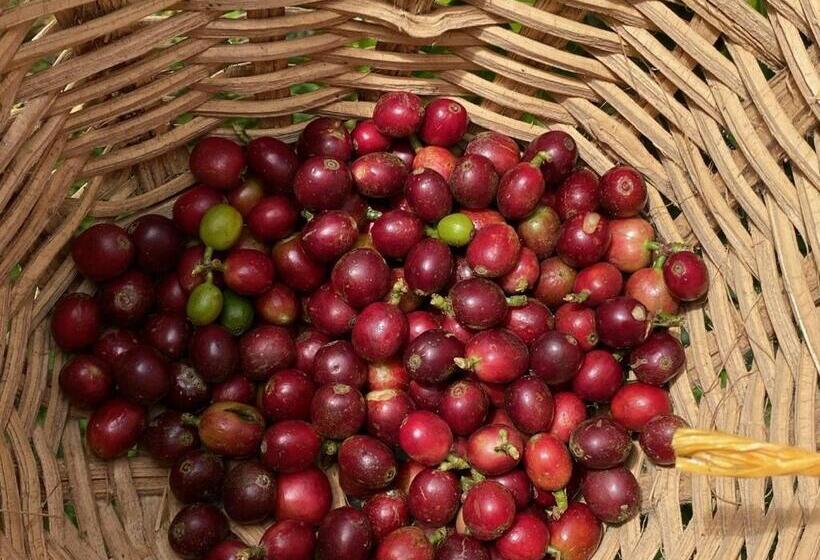 Granja Del Cafe Hotel Y Centro De Convenciones